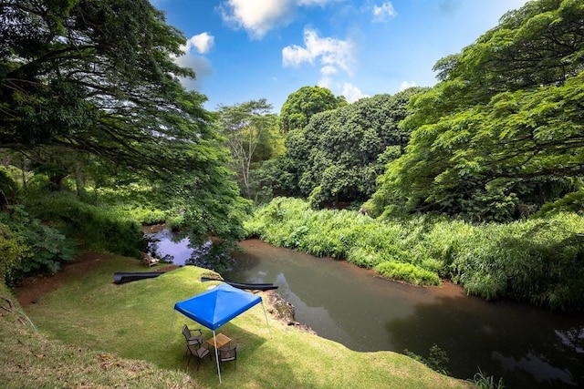 view of nearby features featuring a lawn and a water view