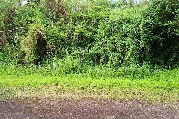 Niihau Rd, Pahoa HI, 96778 land for sale