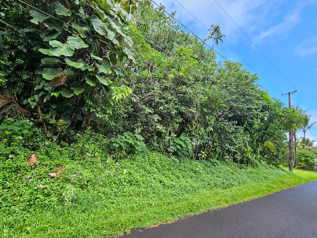 N Opae St, Pahoa HI, 96778 land for sale