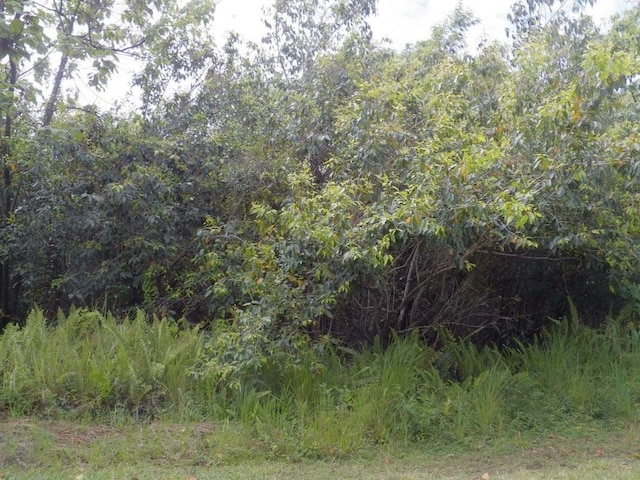 Ahia Rd, Pahoa HI, 96778 land for sale