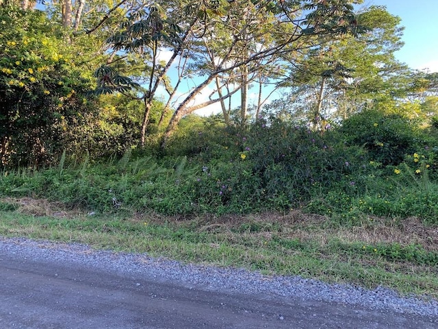 15-1926 10th Ave, Kiele Keaau HI, 96749 land for sale