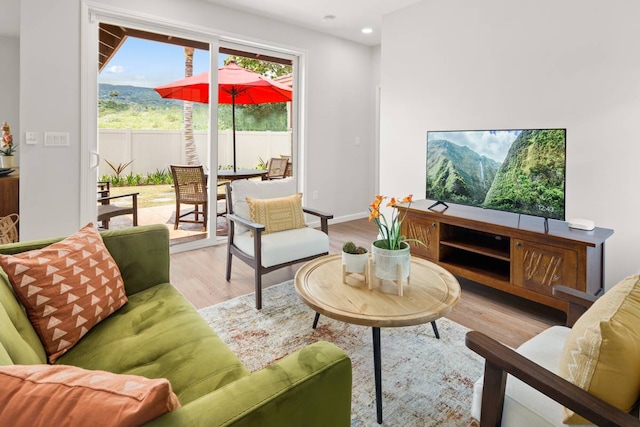 living room with light hardwood / wood-style floors