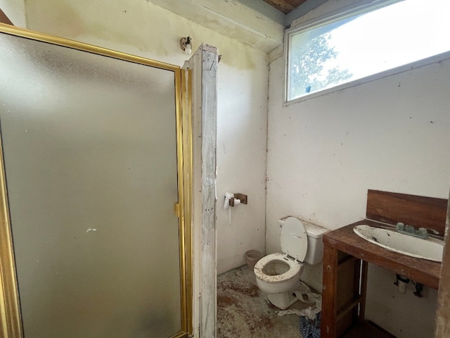 bathroom featuring sink, a shower with door, and toilet