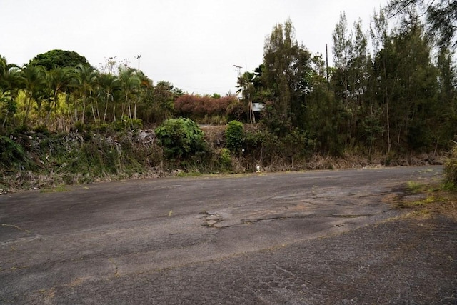 45-300 Haina Camp Rd, Honokaa HI, 96727 land for sale