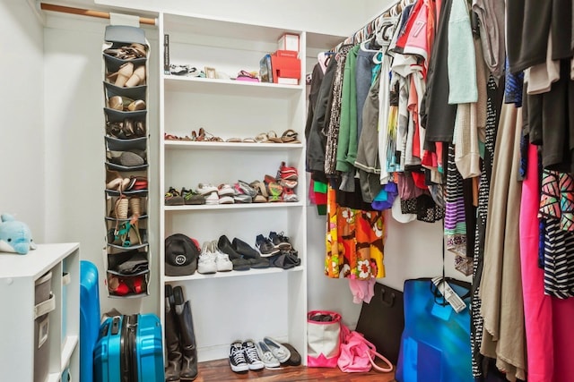 view of spacious closet