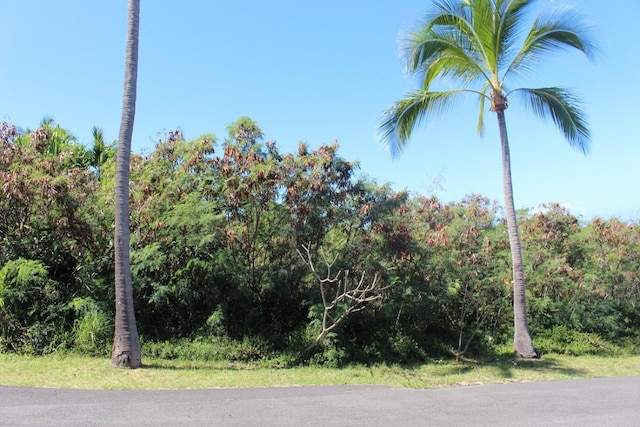 Listing photo 3 for 87-390 Kaohe Rd, Captain Cook HI 96704