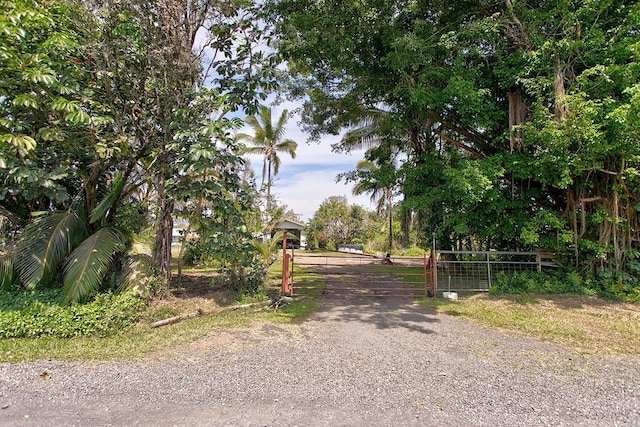 view of road