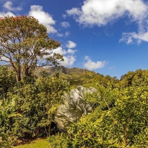 Listing photo 3 for 5-6684 Kuhio Hwy, Hanalei HI 96722