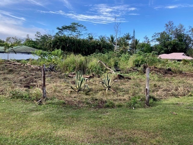 Listing photo 2 for S Mahimahi St, Pahoa HI 96778