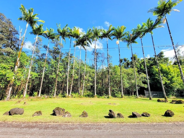 16-457 Oliana St, Kurtistown, HI 96760