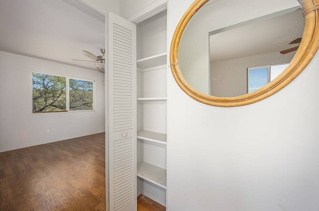 view of closet