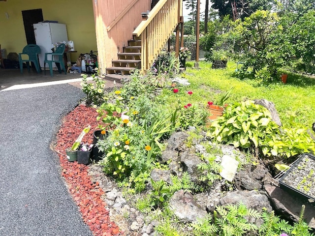 view of yard featuring a patio