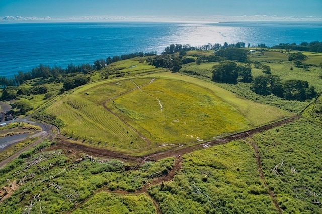 28-1259 Loa Rd, Pepeekeo HI, 96783 land for sale