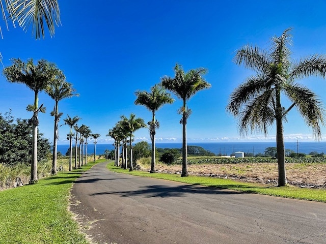 Listing photo 3 for 28-1259 Loa Rd, Pepeekeo HI 96783