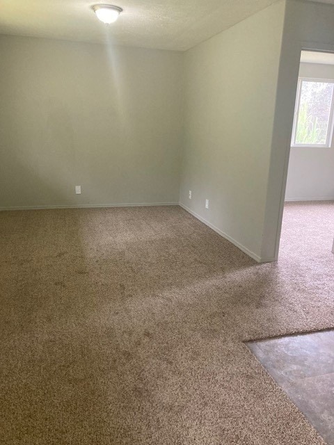 spare room with carpet floors