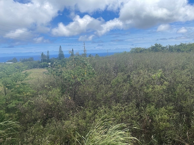 94-1637 Kaulua St, Naalehu HI, 96772 land for sale