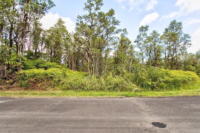 Hibiscus St, Mountain View HI, 96771 land for sale