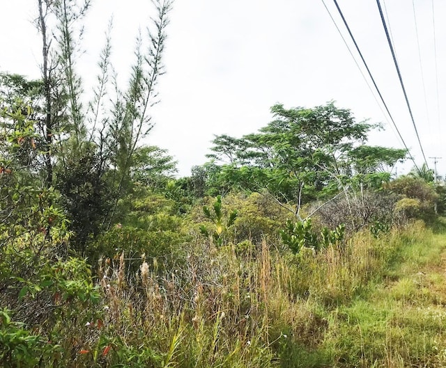 Paradise Dr, Keaau HI, 96749 land for sale