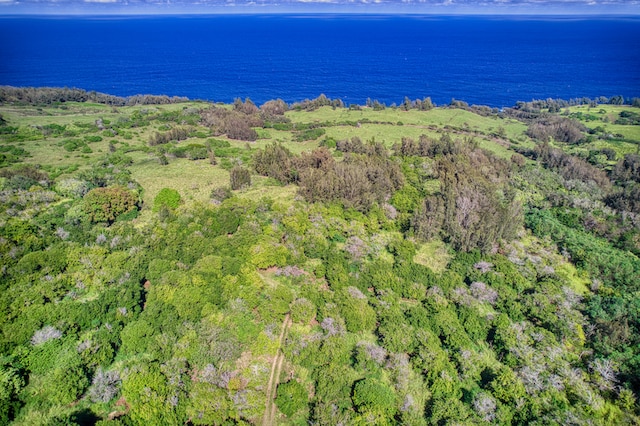 Listing photo 3 for 47-4536 Honokaa Waipio Rd, Honokaa HI 96727