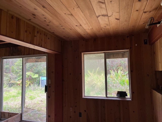 entryway with wooden walls, a healthy amount of sunlight, and wooden ceiling