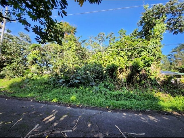 Kawakawa St, Pahoa HI, 96778 land for sale