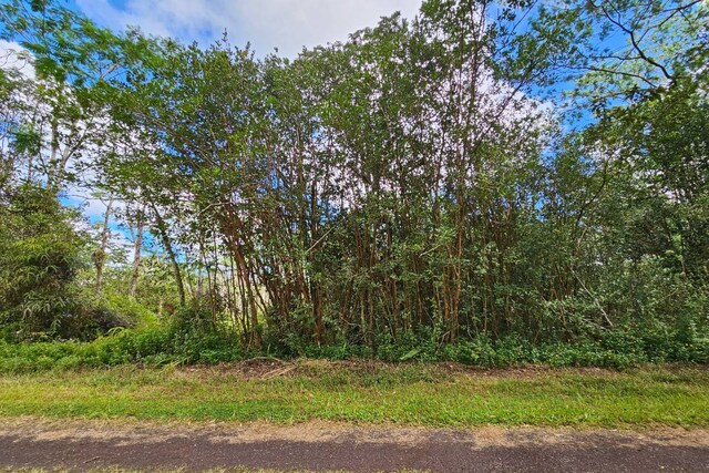 Listing photo 3 for Seadrift Rd, Pahoa HI 96778