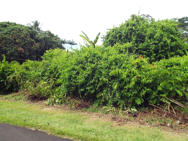 Listing photo 3 for Nehu St, Pahoa HI 96778