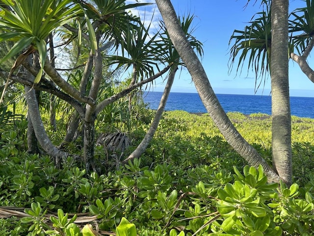 Listing photo 3 for Welea St, Pahoa HI 96778