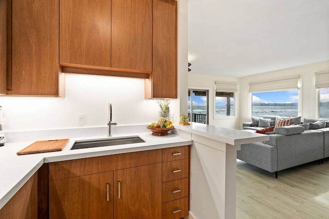 kitchen featuring sink and light wood-type flooring