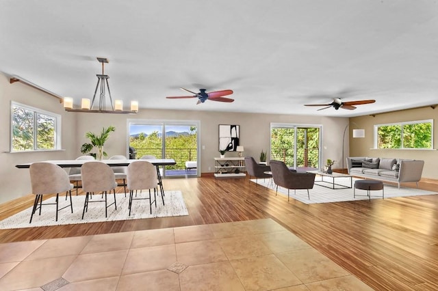 dining space featuring a healthy amount of sunlight, light hardwood / wood-style flooring, and ceiling fan with notable chandelier