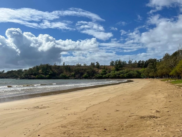 property view of water with a beach view