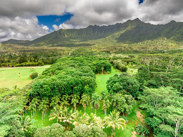 Halaulani Rd, Kilauea HI, 96754 land for sale