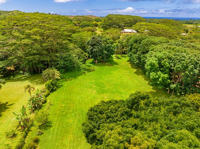 Listing photo 3 for Halaulani Rd, Kilauea HI 96754