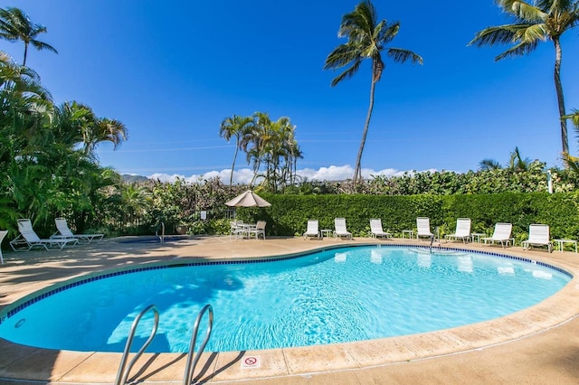 view of swimming pool featuring a patio area