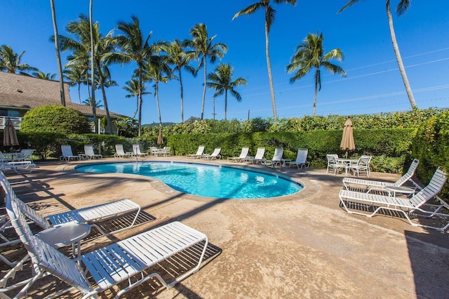 view of pool with a patio