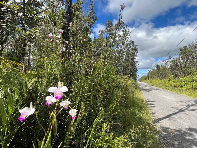 Listing photo 2 for Ohialani Rd, Volcano HI 96785