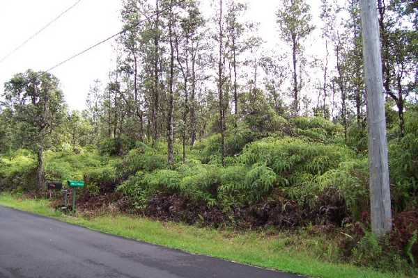 Listing photo 3 for Luana St, Pahoa HI 96778