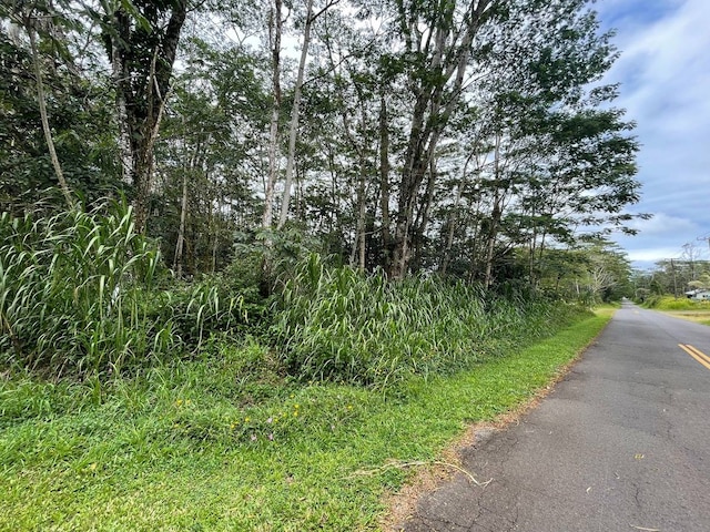 Church Cir, Pahoa HI, 96778 land for sale