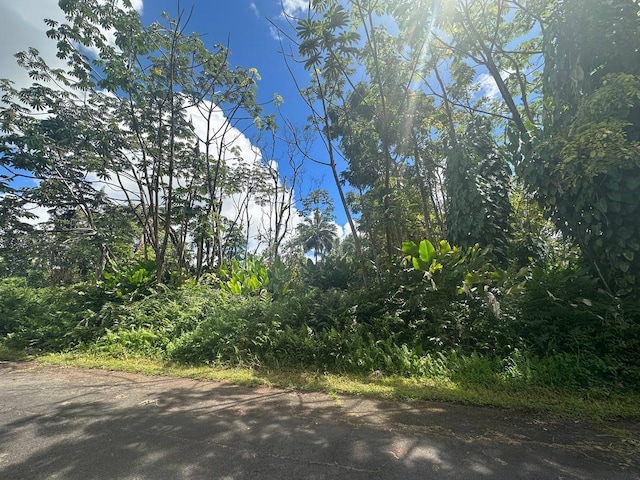 Duff Ln, Pahoa HI, 96778 land for sale