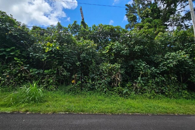 Listing photo 3 for Moana St, Pahoa HI 96778