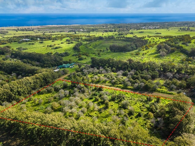 Listing photo 3 for 55-749 Maliu Rd, Hawi HI 96719