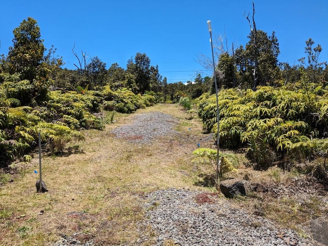 11-3944 Nahelenani St, Volcano HI, 96785 land for sale