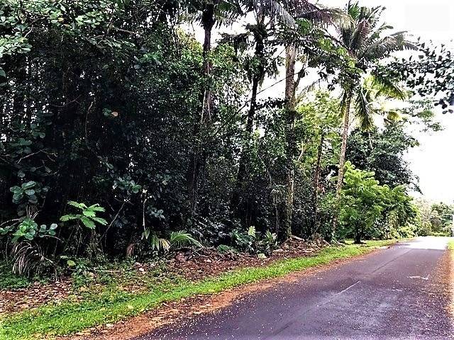 Listing photo 2 for Heepali St, Pahoa HI 96778