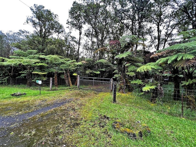 Listing photo 2 for 18-2307 Awela Rd, Volcano HI 96785