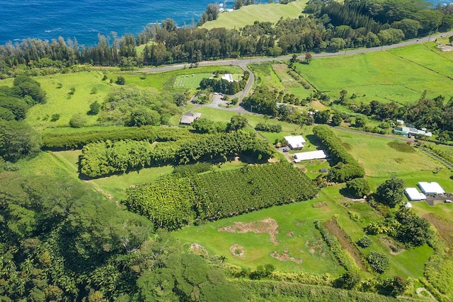 28-1829 Old Mamalahoa Hwy, Honomu HI, 96728 land for sale