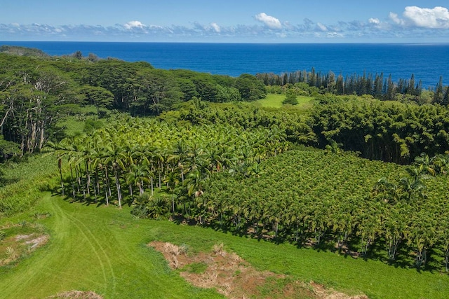 Listing photo 3 for 28-1829 Old Mamalahoa Hwy, Honomu HI 96728