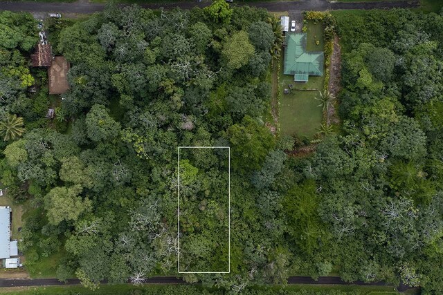 Listing photo 2 for Niuhi St Unit 0, Pahoa HI 96778