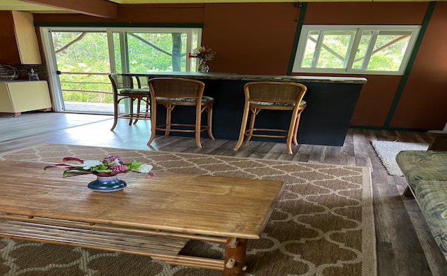 interior space featuring dark hardwood / wood-style floors and a wealth of natural light