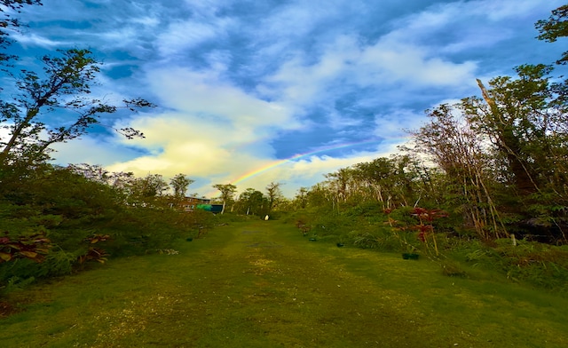 view of landscape