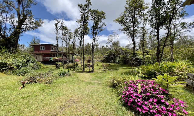 view of yard with a deck